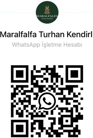 maralfalfa whatsapp qr